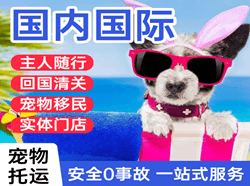 龙嘉航空邮寄国际宠物托运 【国