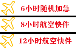 龙嘉航空邮寄快递公司,专业空运当天件
